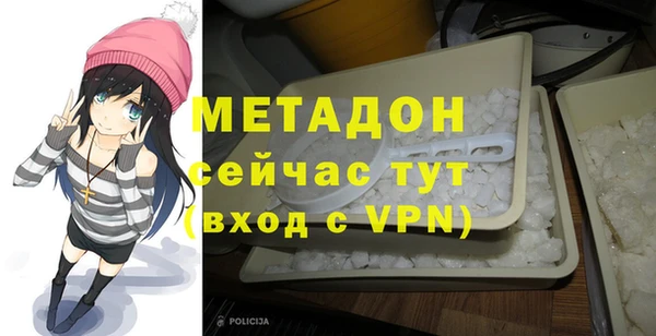 стаф Алзамай