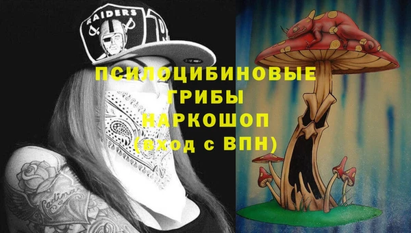 стаф Алзамай