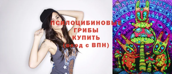 шишки Абдулино
